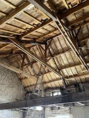 Red Oak Setter - Maxime Combaud - Restauration charpente chêne du 18ème