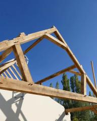 Red Oak Setter - Maxime Combaud - Ferme traditionnelle en chêne de pays