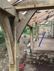 Red Oak Setter - Maxime Combaud - Jambes de force naturellement courbes en chêne de pays