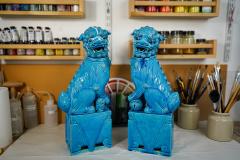 Virginie Peyrottes - Restauration des lions en porcelaine